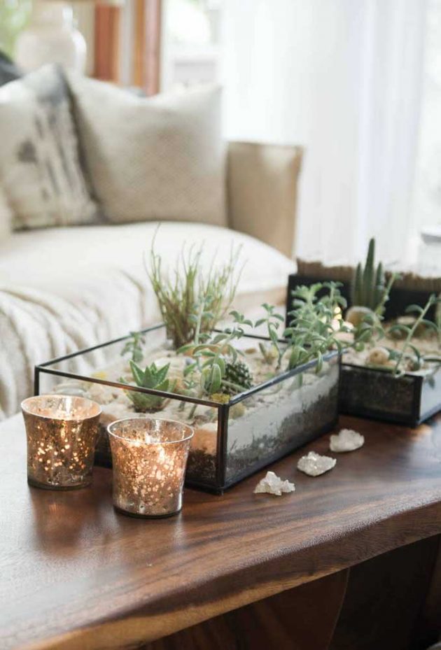 The Most Beautiful Succulent Terrariums For Your Home