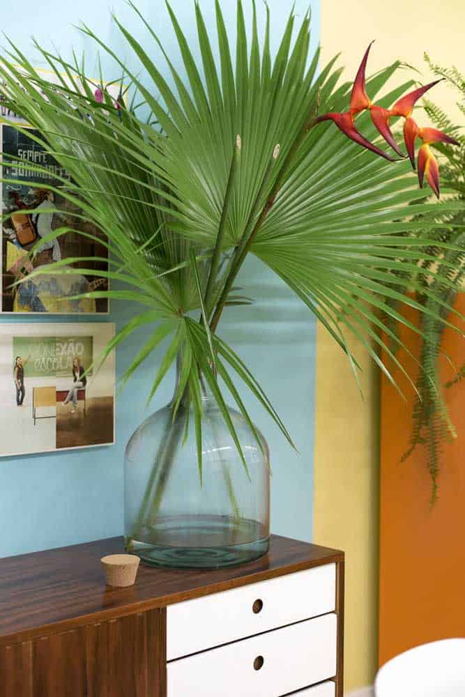 The Main Characteristics And How To Care of Heliconia The Main Characteristics And How To Care of Heliconia