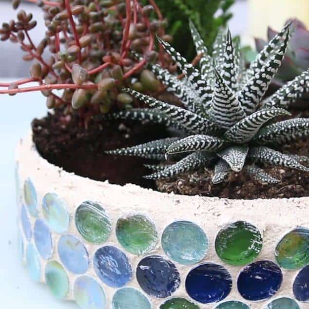 1. Mosaic Cookie Tin Planter 1. Mosaic Cookie Tin Planter