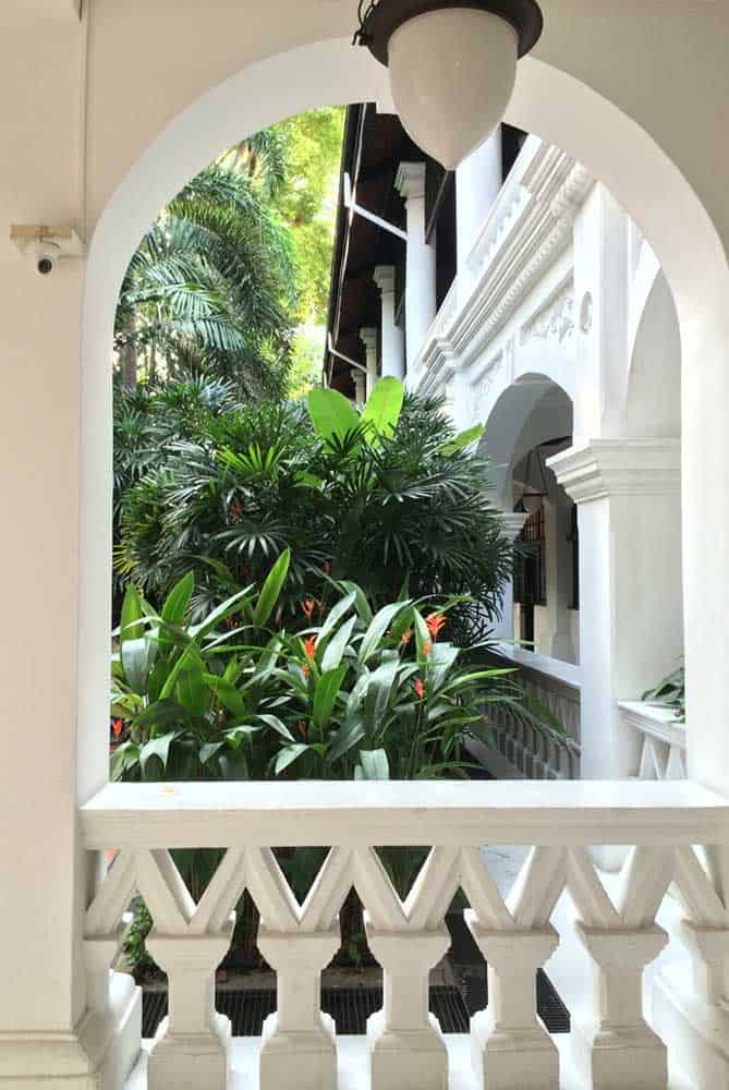 The Main Characteristics And How To Care of Heliconia The Main Characteristics And How To Care of Heliconia