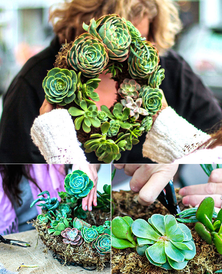 15 Delightful DIY Succulent Planter Ideas For Indoor and Outdoor Use