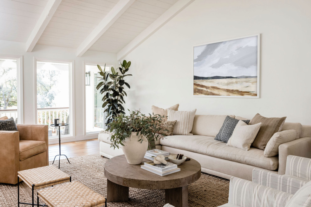 18 Stunning Coastal Living Room Designs That Will Inspire You