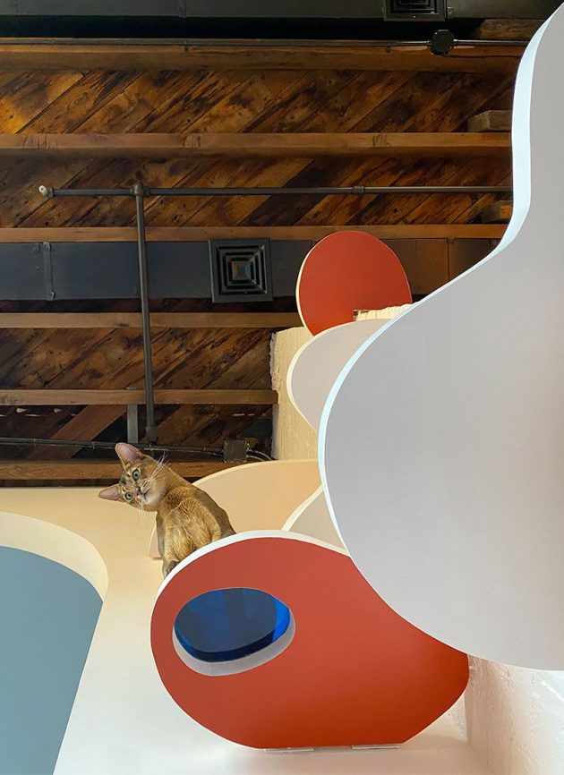 Colors And Arches In A Modern Brooklyn Loft Remodel