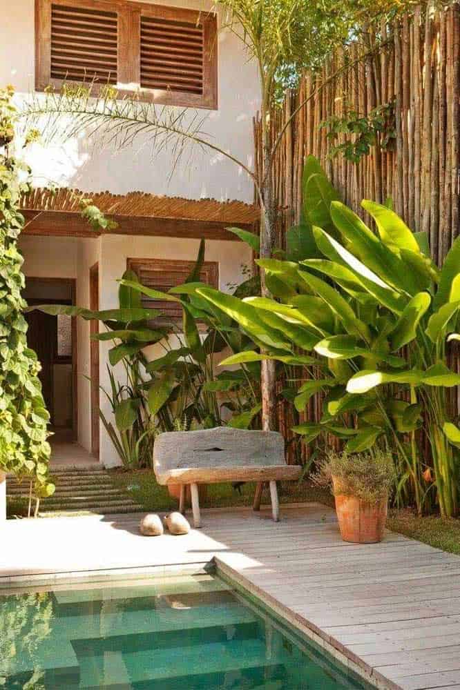 Tips For Having A Wonderful Tropical Garden Tips For Having A Wonderful Tropical Garden