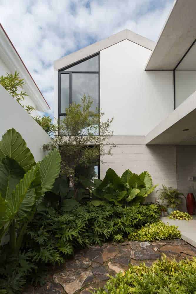 Tips For Having A Wonderful Tropical Garden Tips For Having A Wonderful Tropical Garden