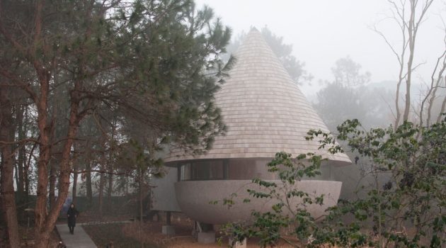The Mushroom – A wood house in a pine forest designed by ZJJZ