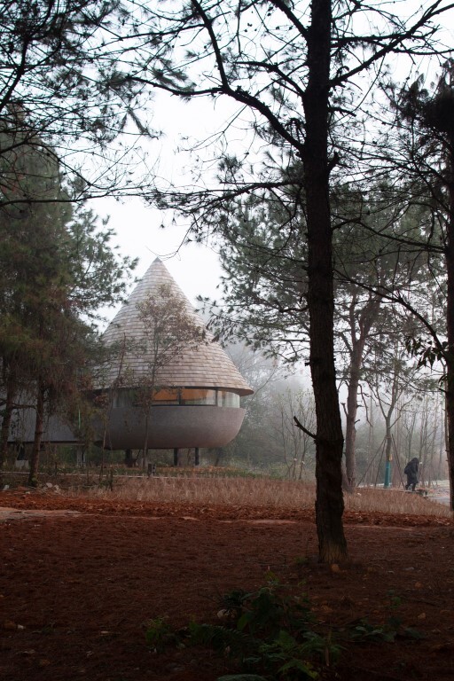 The Mushroom - A wood house in a pine forest designed by ZJJZ