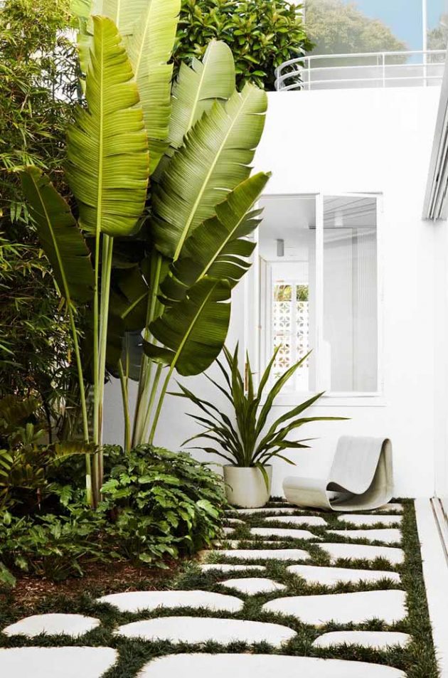 Tips For Having A Wonderful Tropical Garden