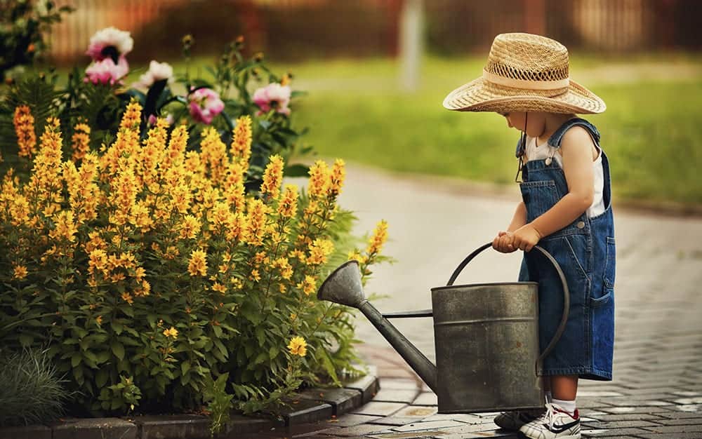 Why Garden Plants Benefit You?