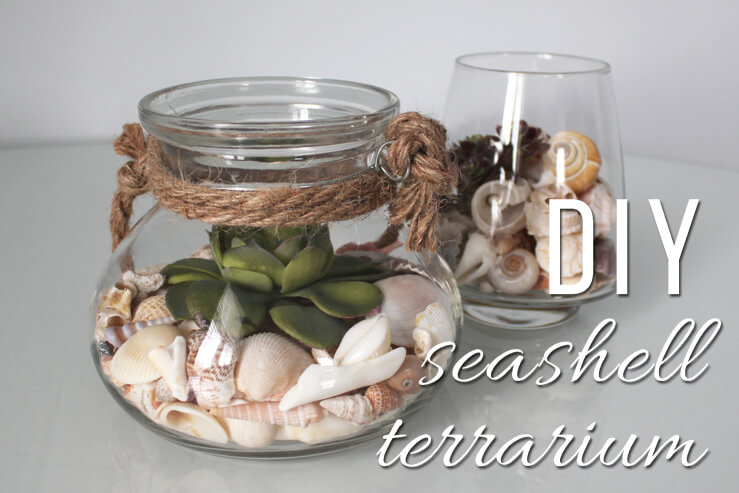 15 Adorable DIY Shell Décor Ideas You Won't Be Able To Resist