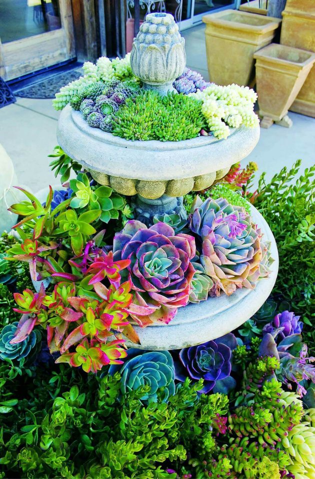 15 Awesome DIY Planter Ideas You Can Make From Everyday Items