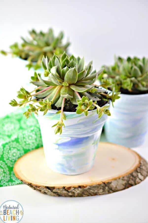 12. Marbled Succulent Planters 12. Marbled Succulent Planters