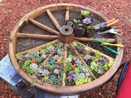 16 Super Creative DIY Planter Ideas For Your Garden