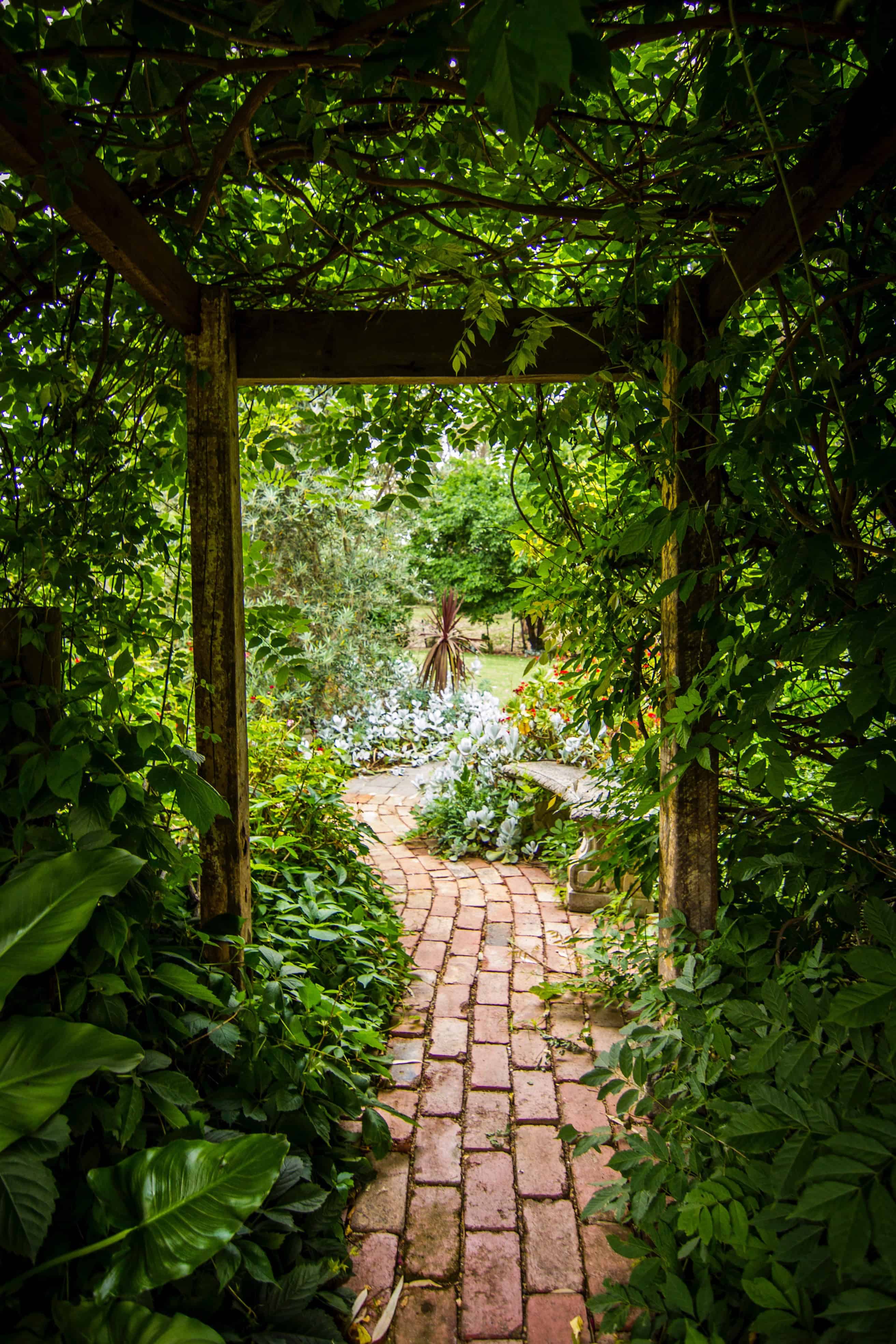 5 Things to Consider When Designing Your Dream Garden 5 Things to Consider When Designing Your Dream Garden