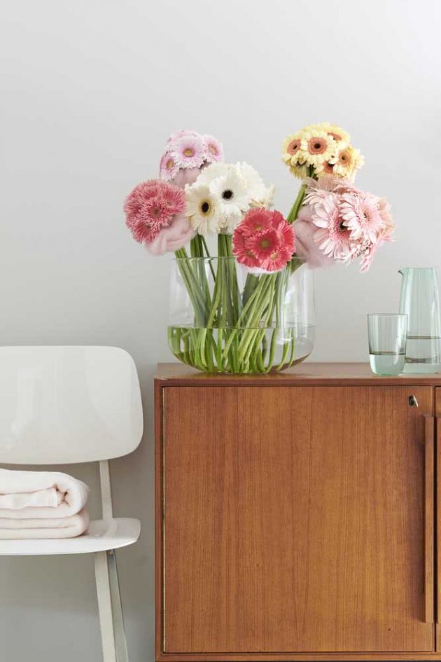 How to Use the Gerbera Flower in Decorative Spaces