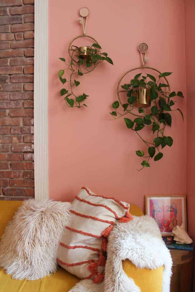 The Meaning Of Coral Color And Combinations To Fit Your Home The Meaning Of Coral Color And Combinations To Fit Your Home