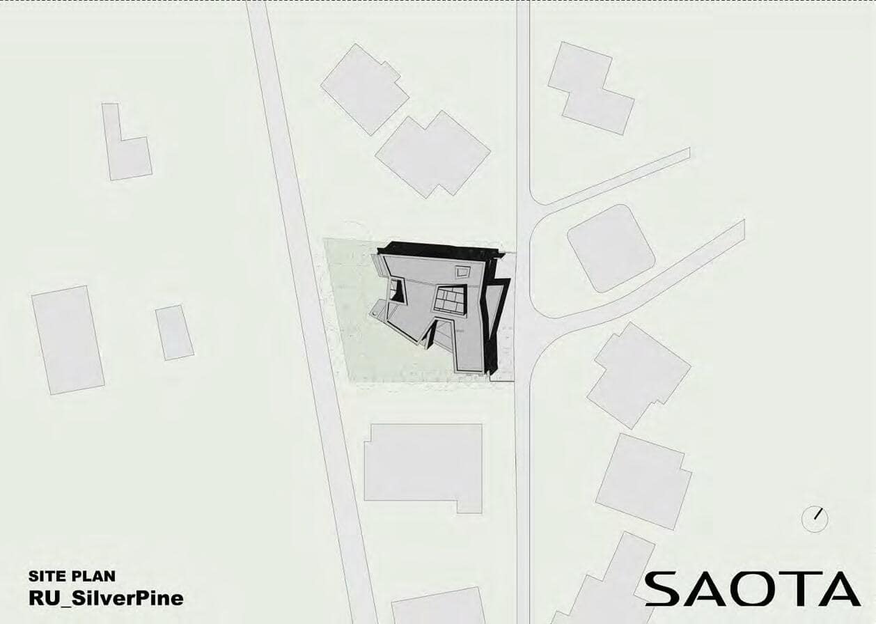 Silver Pine / SAOTA & ARRCC / Russia Silver Pine / SAOTA & ARRCC / Russia