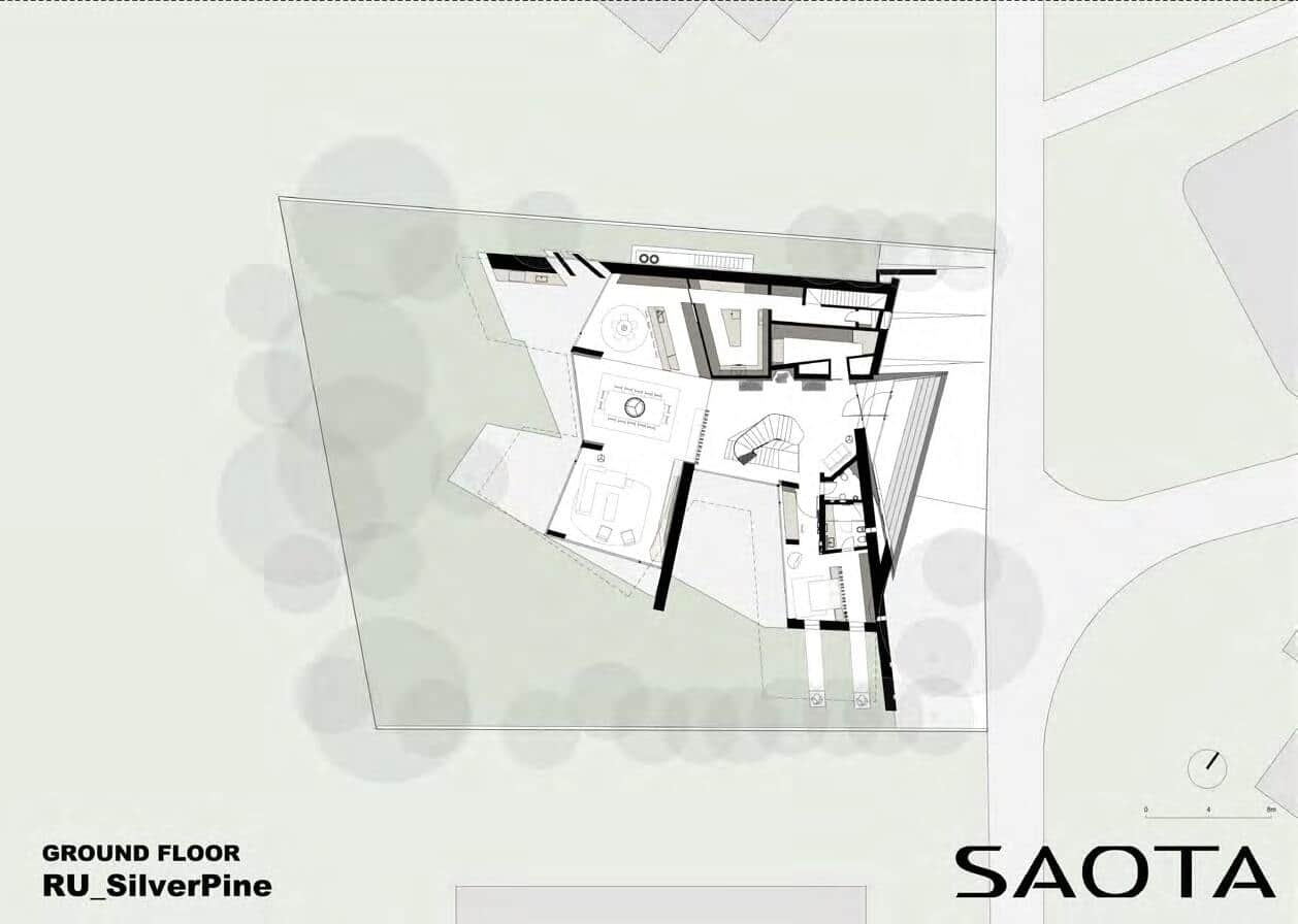 Silver Pine / SAOTA & ARRCC / Russia Silver Pine / SAOTA & ARRCC / Russia