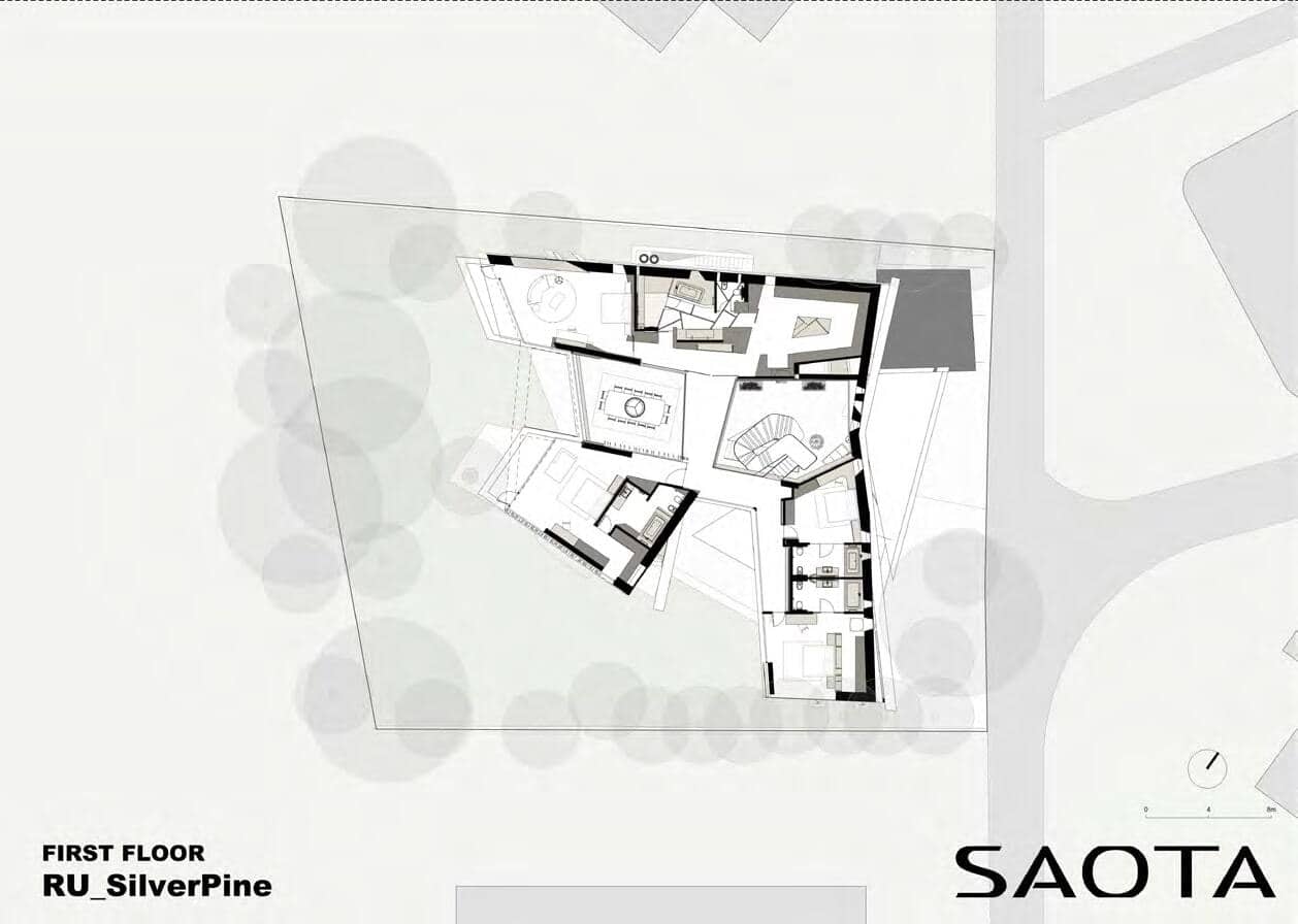 Silver Pine / SAOTA & ARRCC / Russia Silver Pine / SAOTA & ARRCC / Russia