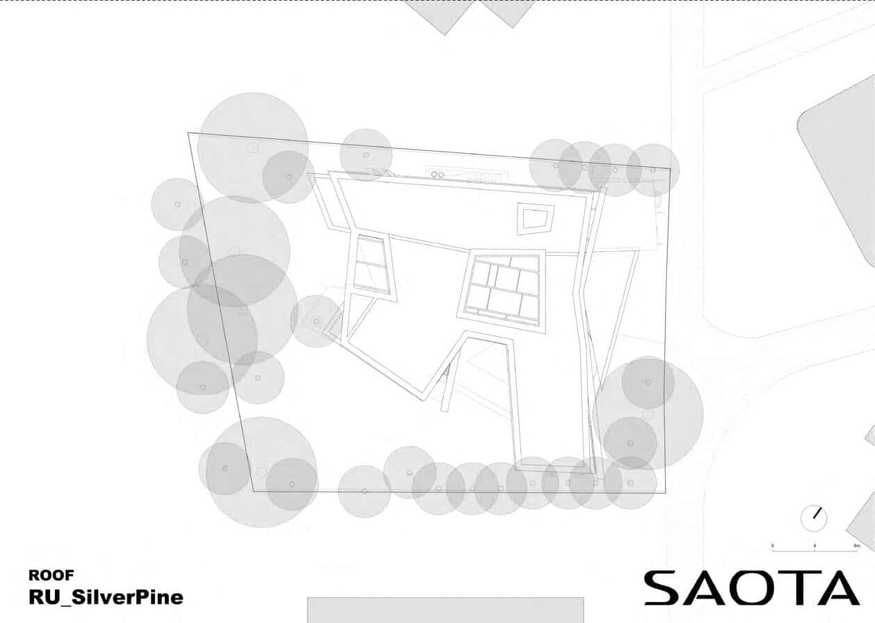 Silver Pine / SAOTA & ARRCC / Russia Silver Pine / SAOTA & ARRCC / Russia