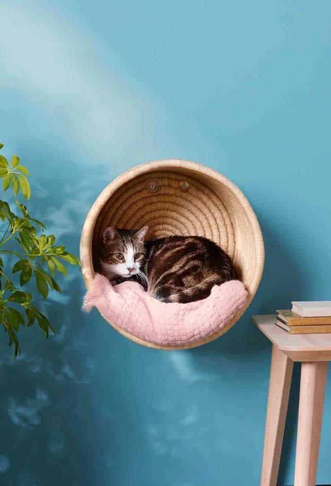 The Cutest Cat Houses For Your Inspiration The Cutest Cat Houses For Your Inspiration