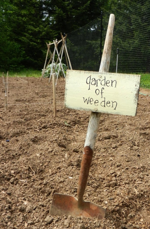 14 Cute DIY Garden Sign Ideas You Will Adore