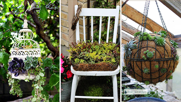 15 Super Cool DIY Succulent Ideas For Your Garden