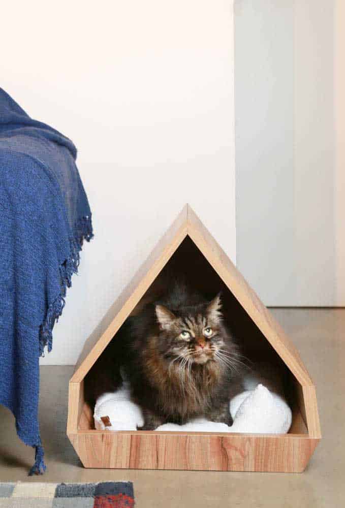 The Cutest Cat Houses For Your Inspiration The Cutest Cat Houses For Your Inspiration