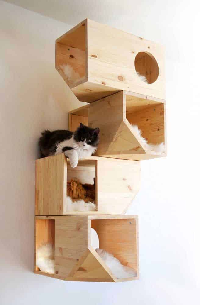 The Cutest Cat Houses For Your Inspiration The Cutest Cat Houses For Your Inspiration