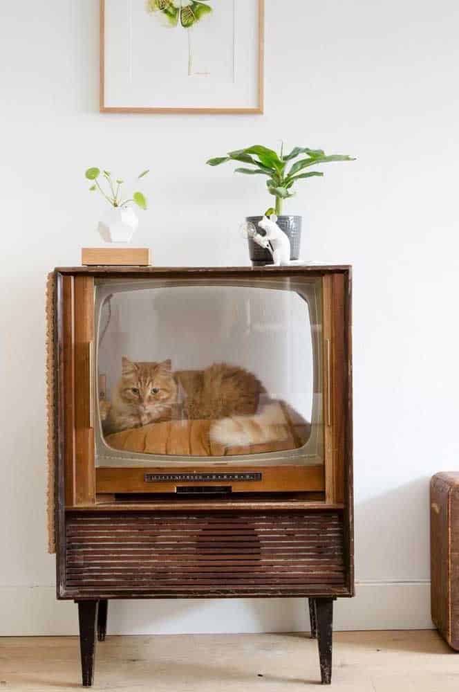 The Cutest Cat Houses For Your Inspiration