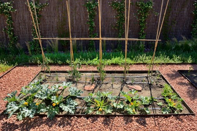 The Keys To Designing Your Garden According To Your Personality
