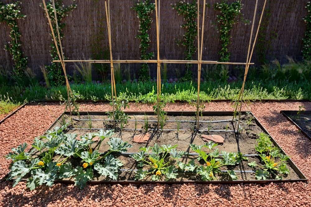 The Keys To Designing Your Garden According To Your Personality The Keys To Designing Your Garden According To Your Personality