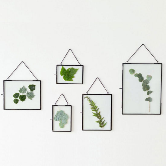 Display Your Favorite Flowers In A Herbarium Frame