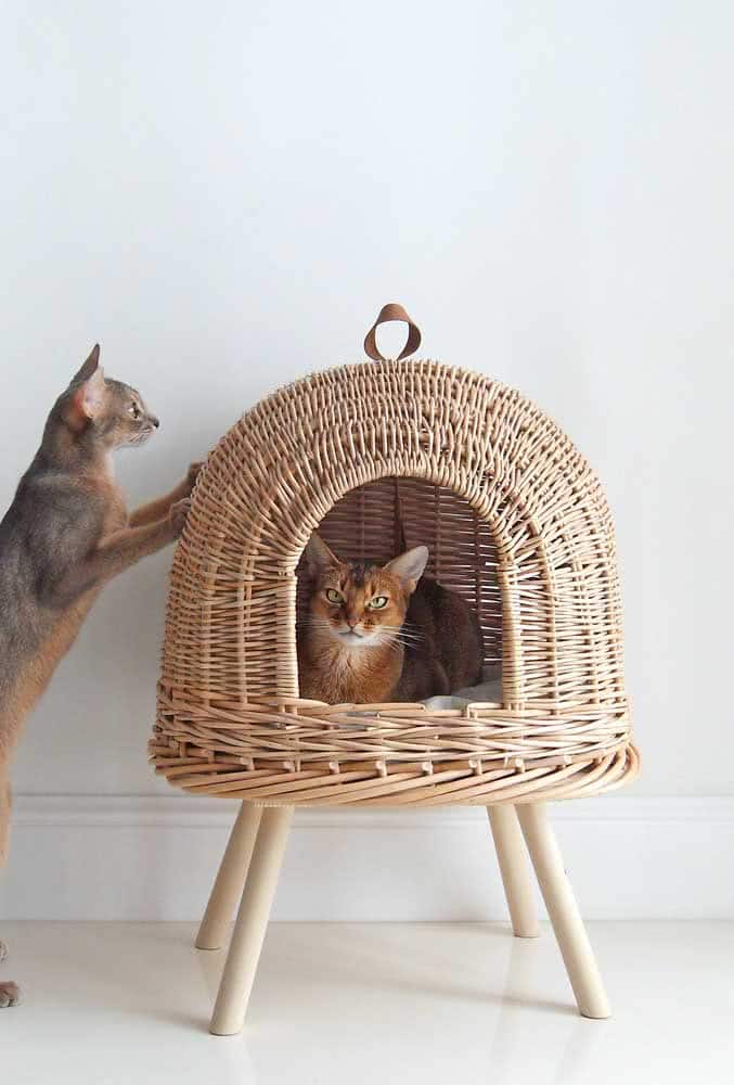 The Cutest Cat Houses For Your Inspiration