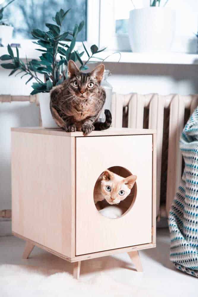 The Cutest Cat Houses For Your Inspiration The Cutest Cat Houses For Your Inspiration
