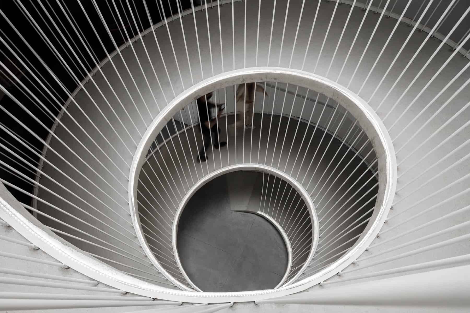 Office stairs as a sculptural piece designed by Paulo Merlini Architects Office stairs as a sculptural piece designed by Paulo Merlini Architects