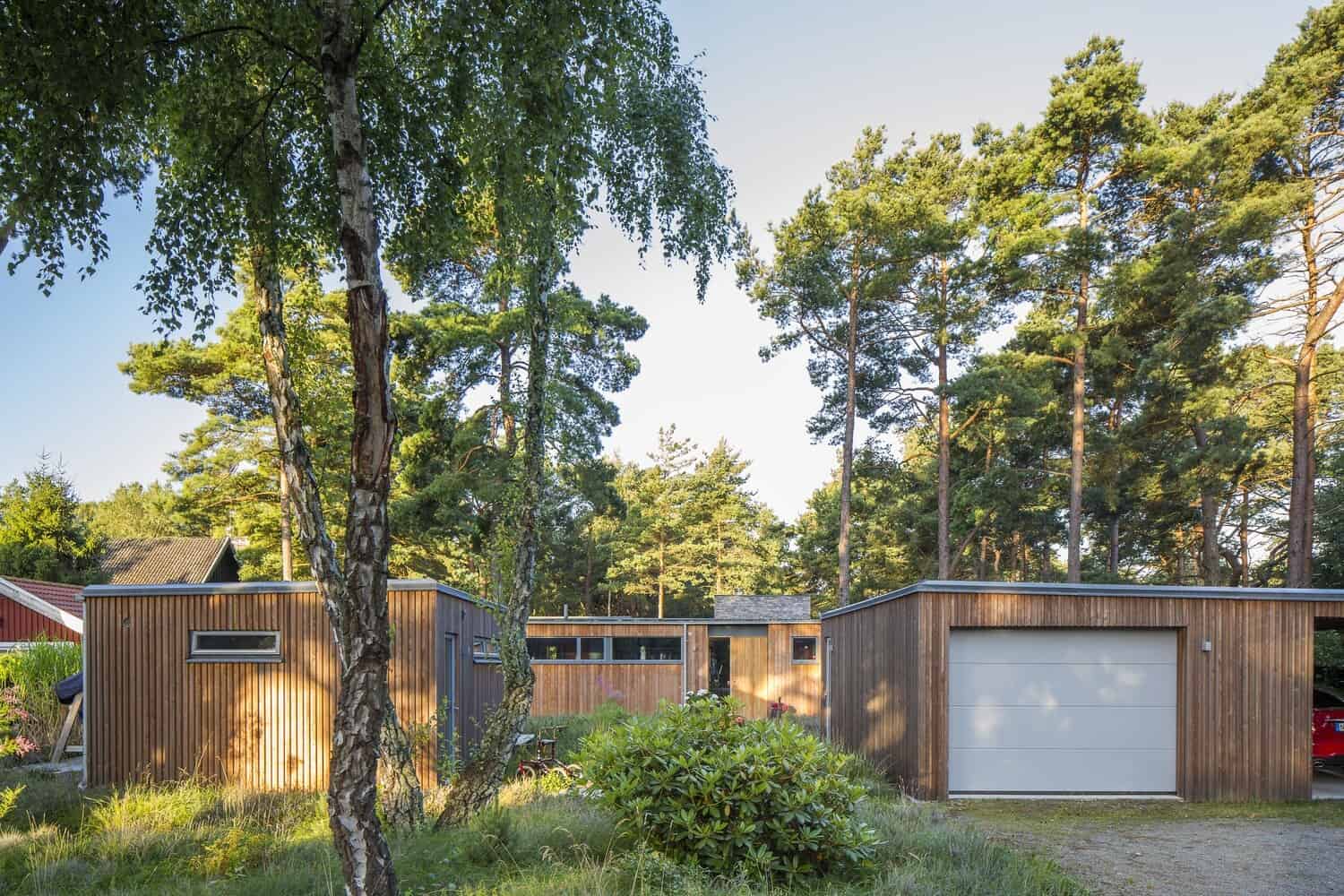Contemporary wooden house with sleek design nestled among tall pine trees in a lush forest setting. Modern architecture blending natural surroundings for eco-friendly living.