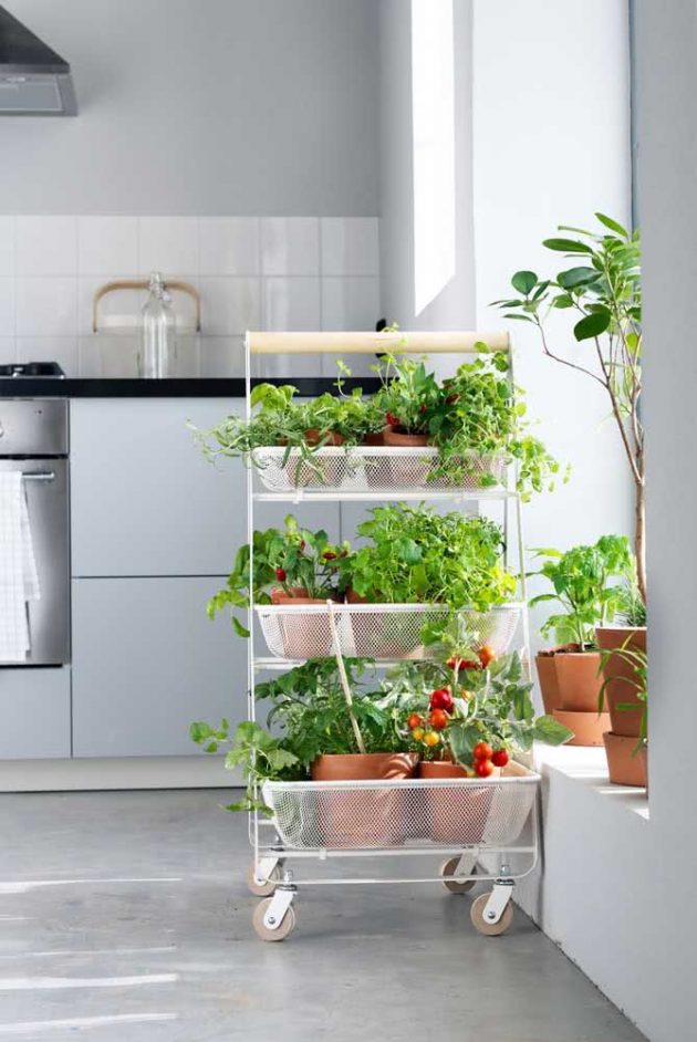 Why Make A Kitchen Garden?
