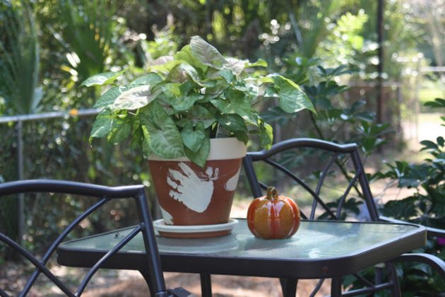 15 Awesome DIY Garden Pots & Planters You'll Enjoy Crafting