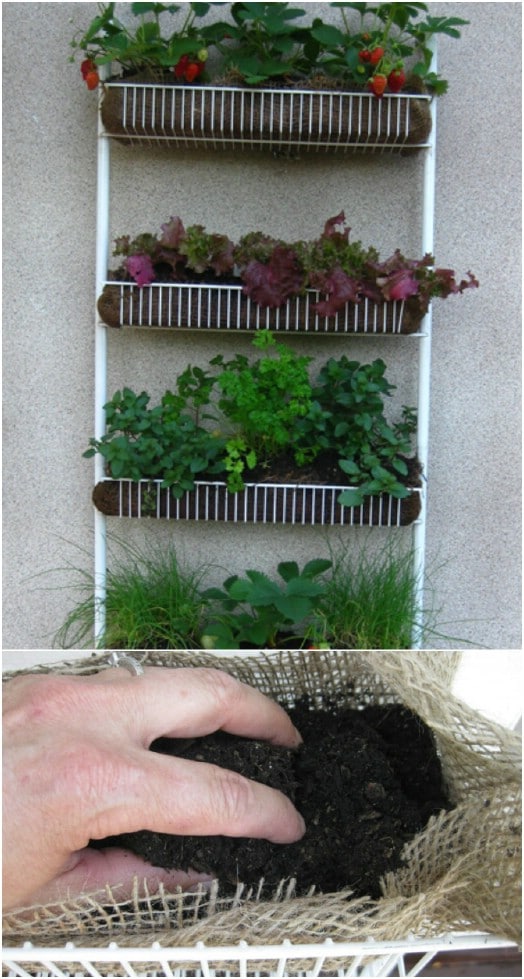 15 Awesome DIY Vertical Garden Projects For The Weekend