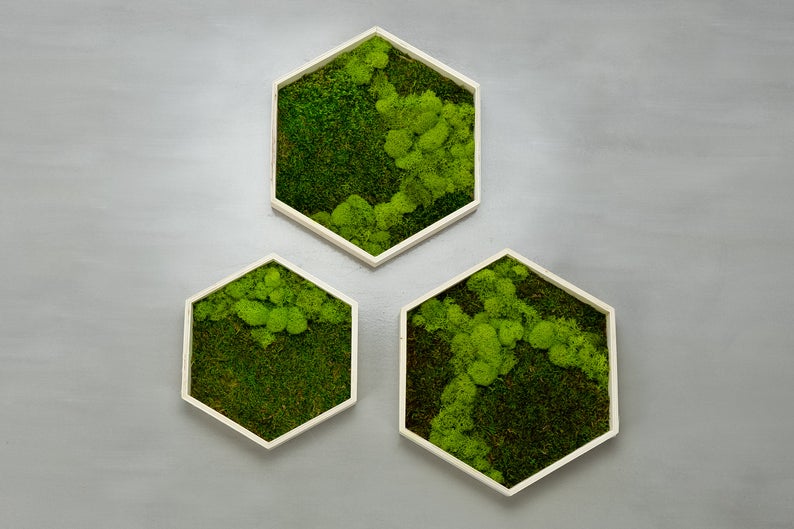 18 Soothing Moss Wall Décor Designs You Won't Be Able To Resist