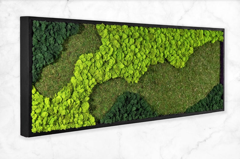 18 Soothing Moss Wall Décor Designs You Won't Be Able To Resist