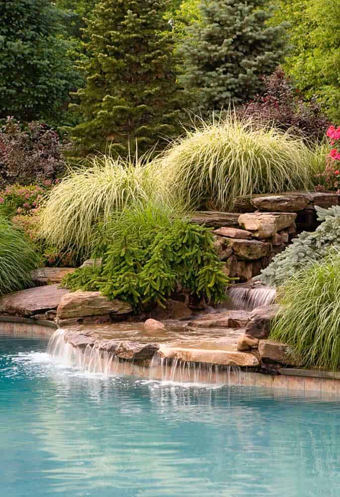The Reasons Why You Should Have A Natural Pool In Your Yard The Reasons Why You Should Have A Natural Pool In Your Yard