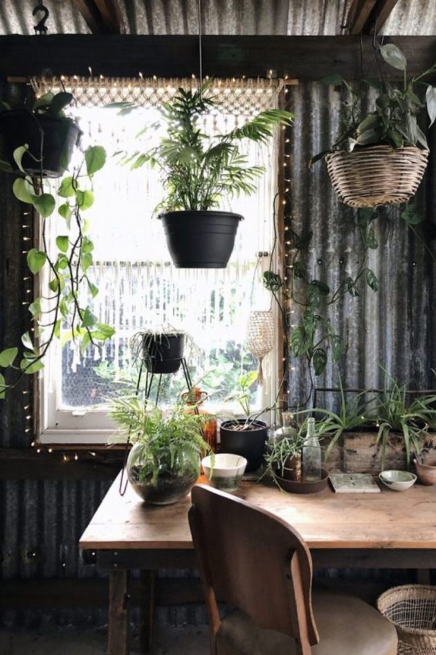 Green Plants And Vintage Furniture
