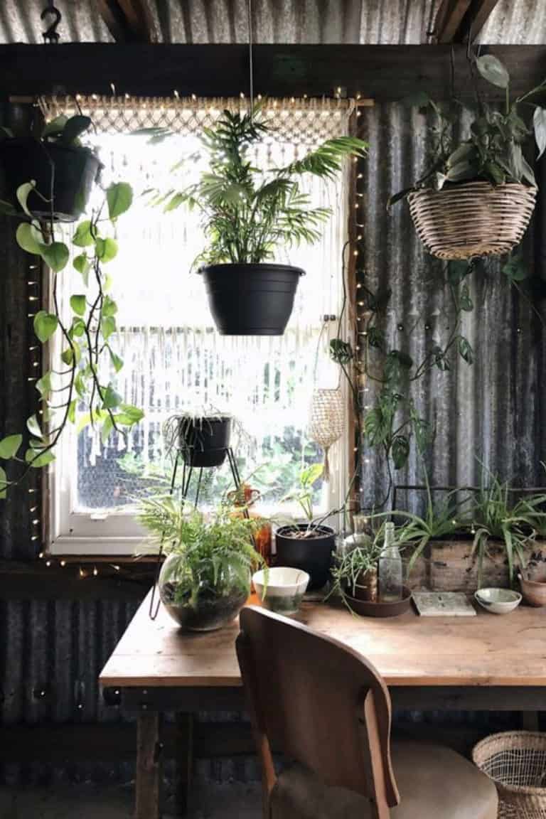 Green Plants And Vintage Furniture Green Plants And Vintage Furniture