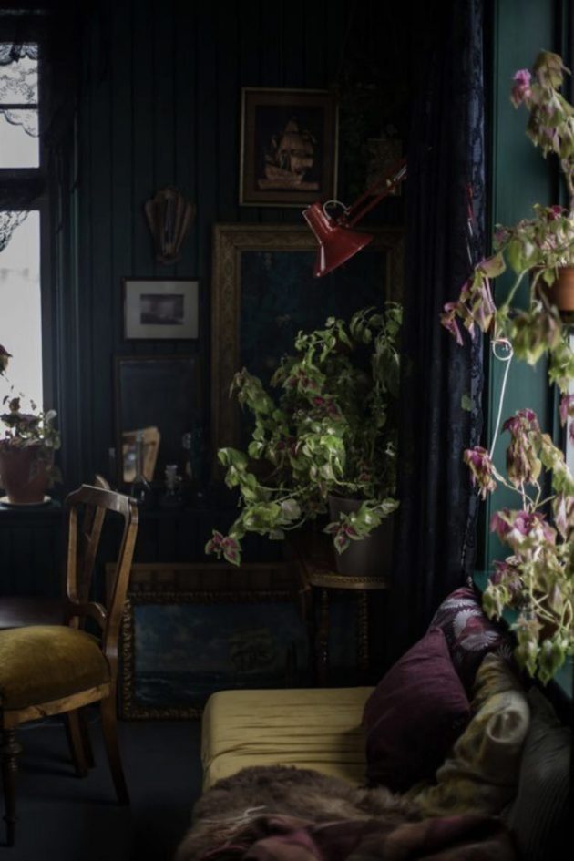 Green Plants And Vintage Furniture