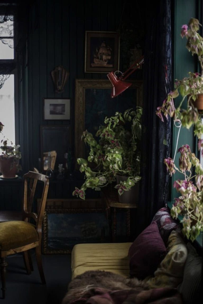 Green Plants And Vintage Furniture Green Plants And Vintage Furniture