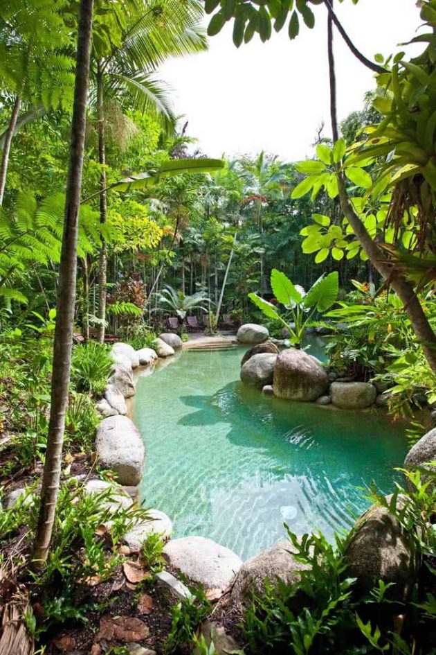 The Reasons Why You Should Have A Natural Pool In Your Yard