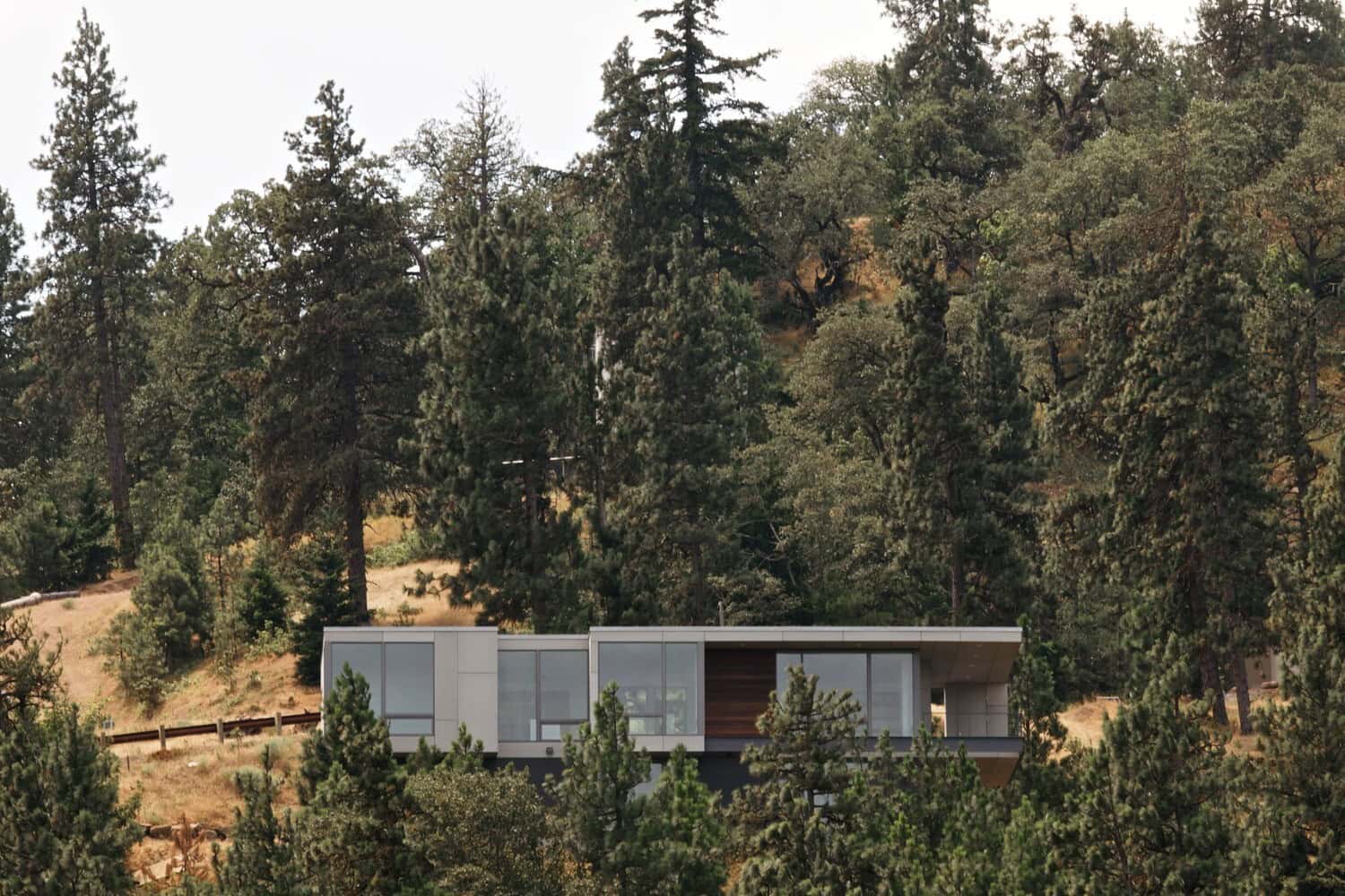 Secluded modern house nestled among tall pine trees in a forest setting, showcasing minimalist architecture and natural materials.