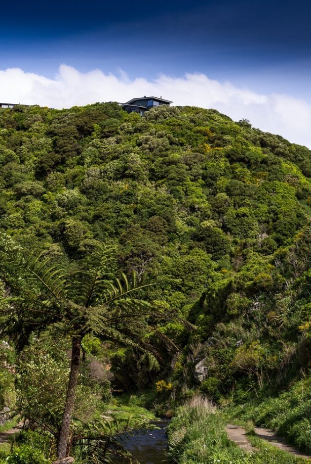 Korokoro Bush House by Parsonson Architects in New Zealand